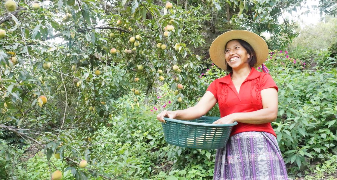 Eine Frau mit Strohhut hält einen Korb mit Pfirischen in den Händen