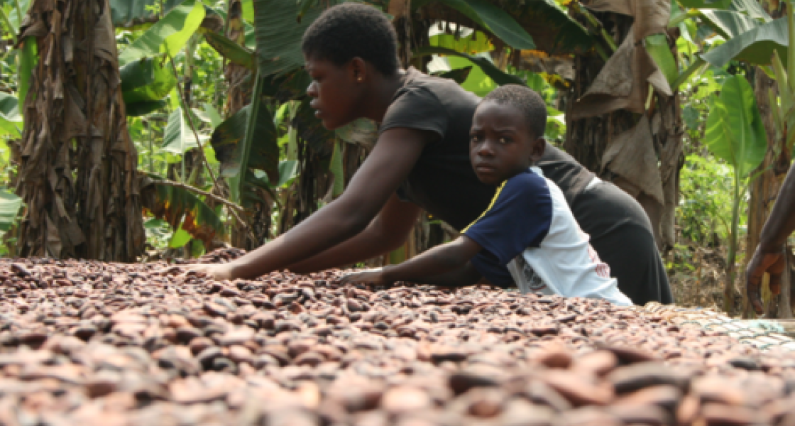 Eine Mutter und ihr Sohn stehen vor einem großen Tisch voll mit Kakaobohnen. Der Junge guckt direkt in die Kamera.