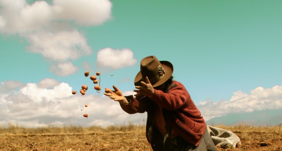 Eine Frau kniet auf dem Acker und schmeißt Kartoffel in die Luft