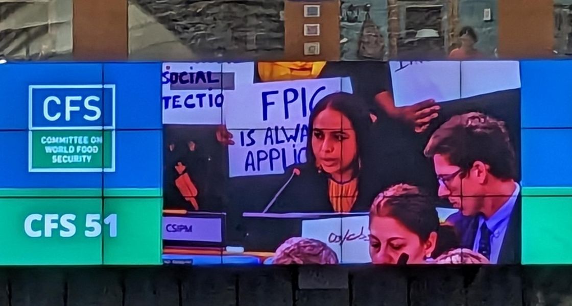 großer Bildschirm mit Livebildern auf dem 51. UN-Welternährungsauschuss in Rom