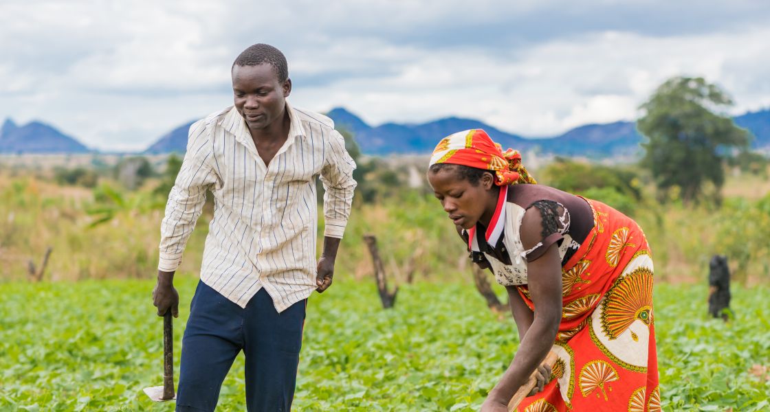 Ein Kleinbauer und eine Kleinbäuerin auf ihrem Feld in Mosambik