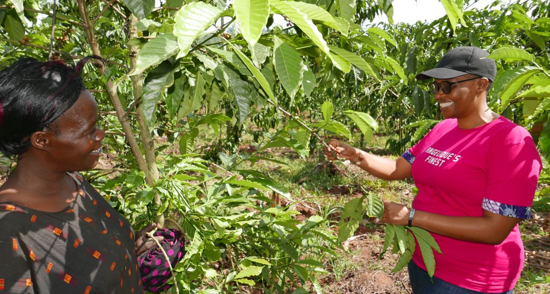 Zwei Frau stehen neben einer Vielzahl übergroßer Kaffeepflanzen