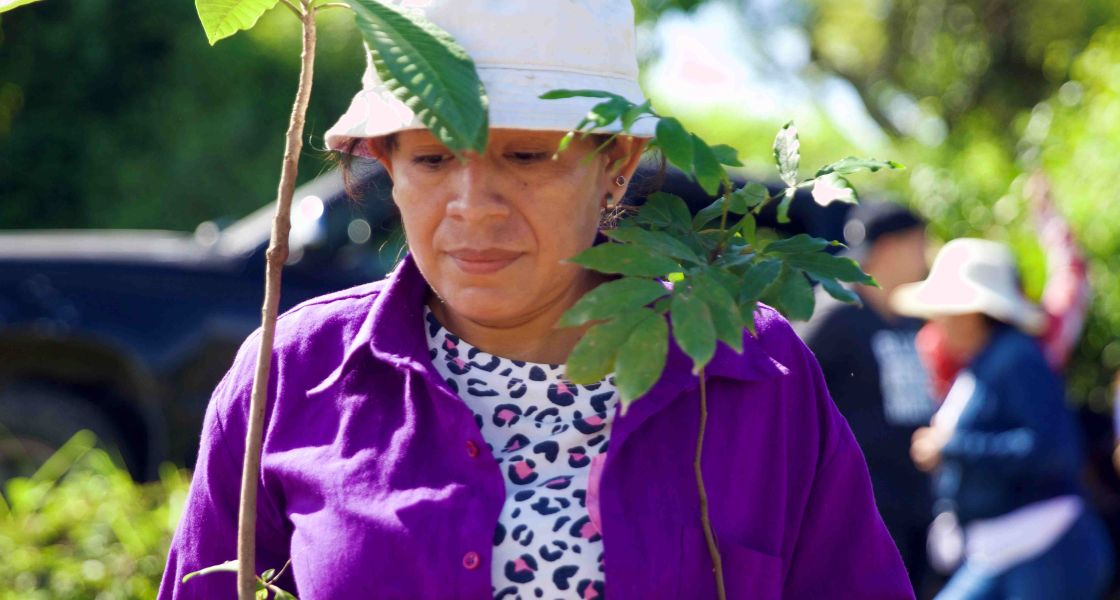 Eine Frau mit weißem Käppi trägt zwei Jungpflanzen
