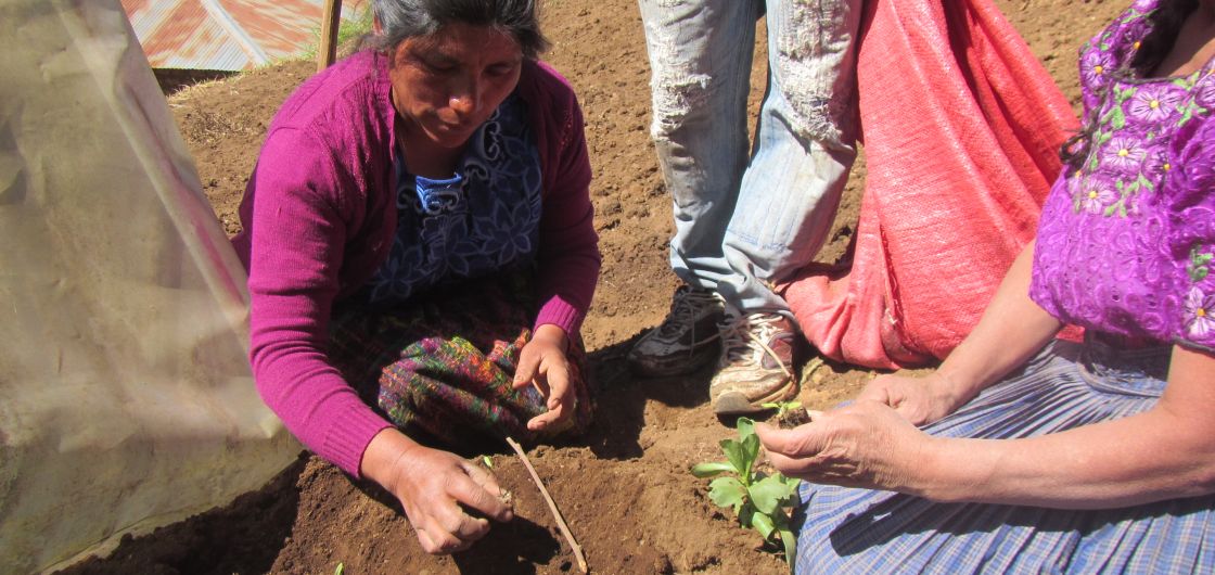 Zwei Frauen knien auf dem Boden säen Gemüse aus.