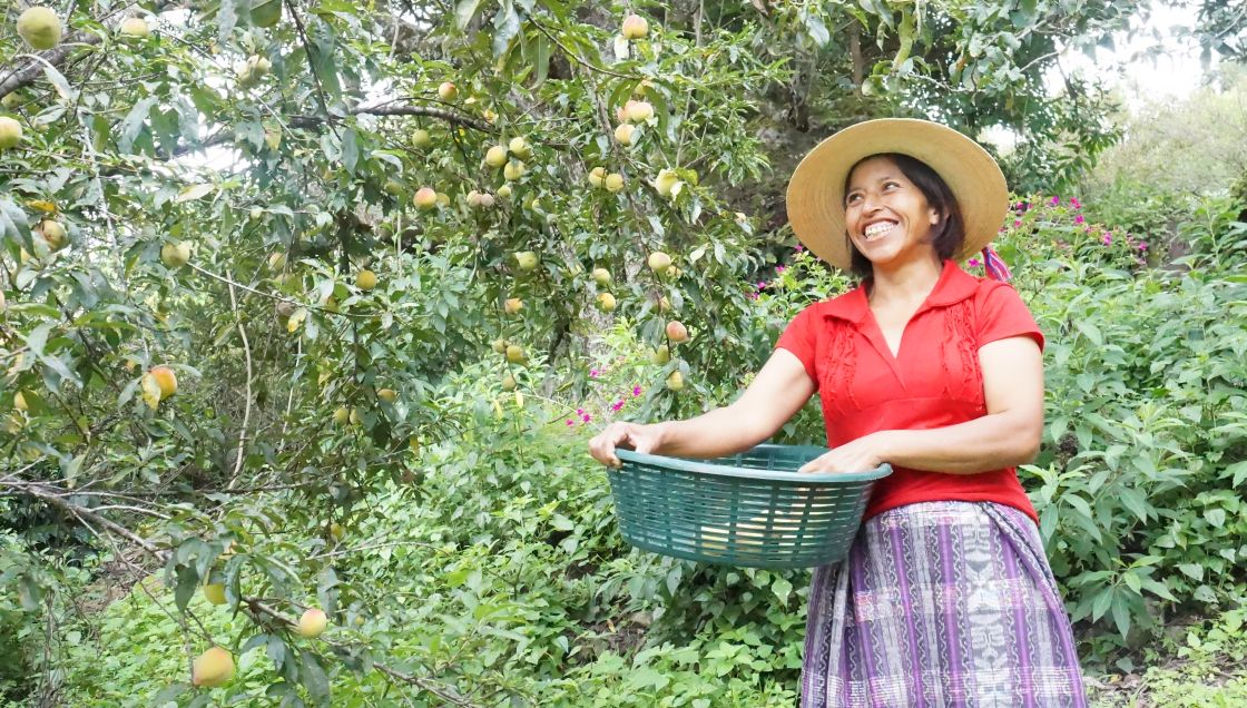 Eine Frau mit Strohhut hält einen Korb mit Pfirischen in den Händen