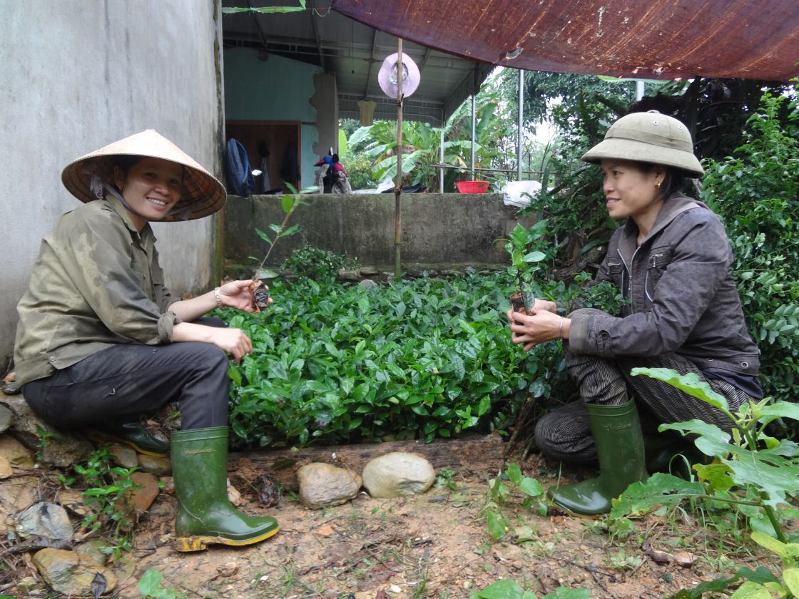 Zwei Frauen mit Jungpflanzen in den Händen