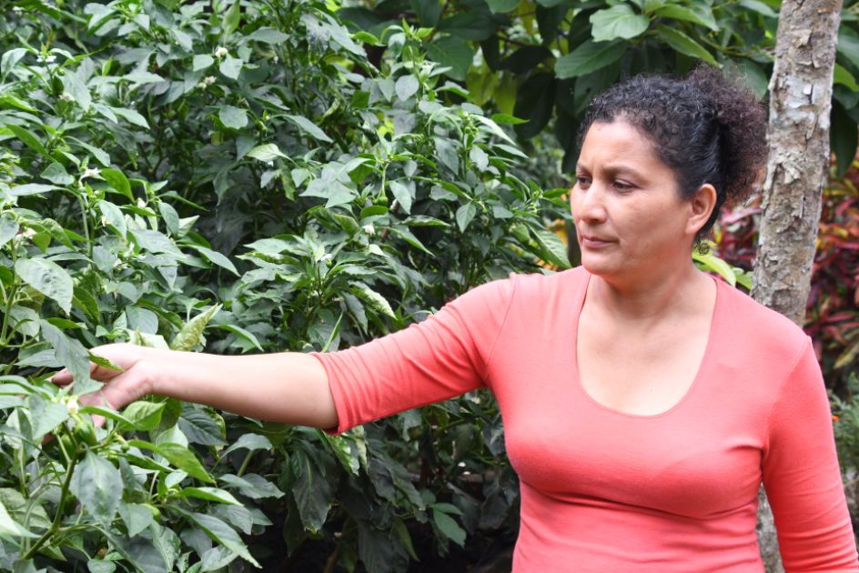 Eine Frau in rotem Oberteil zeigt auf einen grünen Strauch