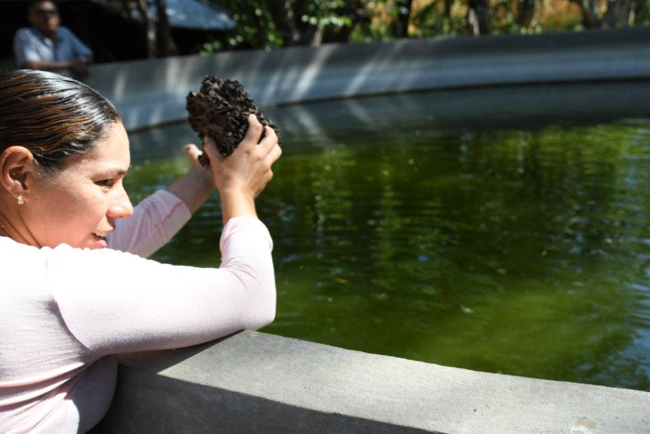 Eine Frau lehnt am Rand eines Wasserbeckens