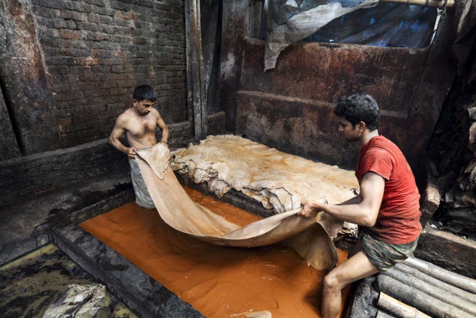 Zwei Männer halten ein großes Stück Leder über einem Farbbottich