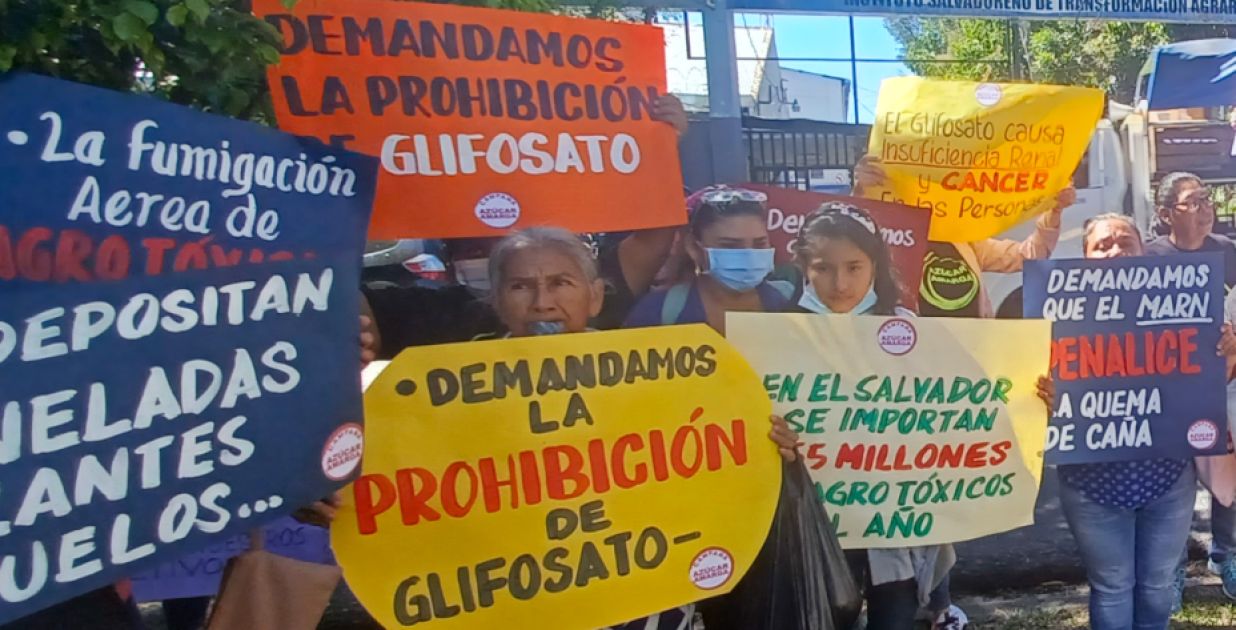 Menschengruppe mit bunten Protestschildern