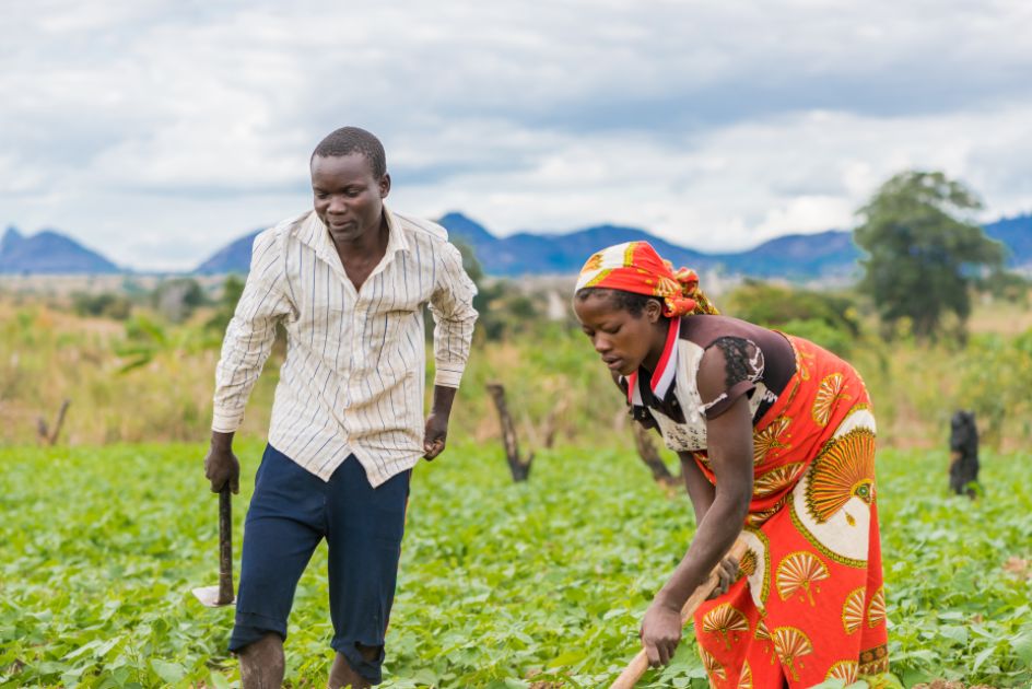 Ein Kleinbauer und eine Kleinbäuerin auf ihrem Feld in Mosambik
