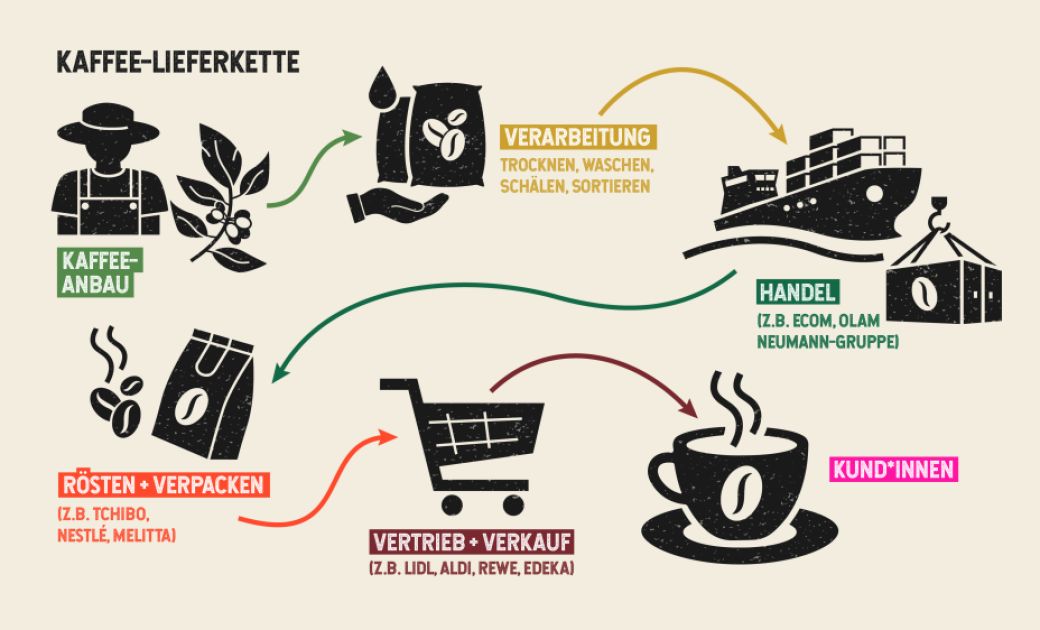 Grafik darüber wo der Kaffee herkommt