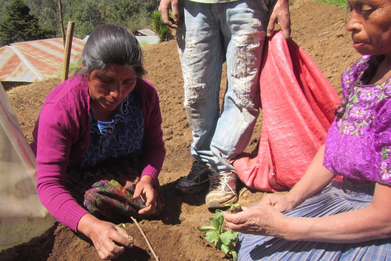 Zwei Frauen knien auf dem Boden säen Gemüse aus.
