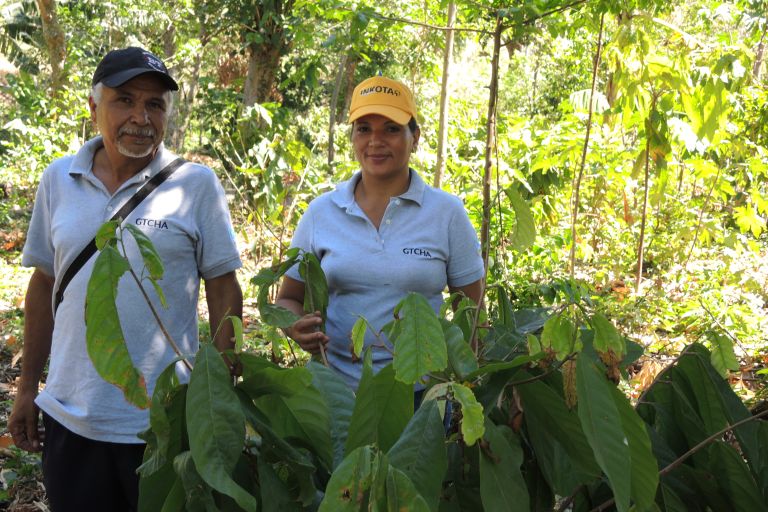 Mann und Frau vor einer Kakaopflanze