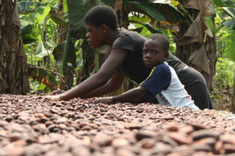 Eine Mutter und ihr Sohn stehen vor einem großen Tisch voll mit Kakaobohnen. Der Junge guckt direkt in die Kamera.