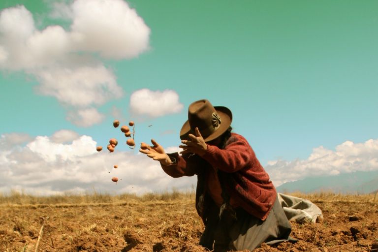 Eine Frau kniet auf dem Acker und schmeißt Kartoffel in die Luft