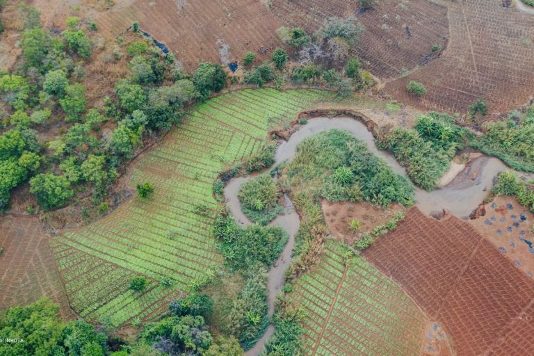 Seitenarm einen Flusses schlängelt sich durch Felder 