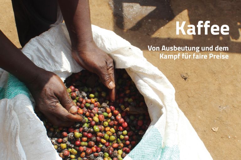 Mann greift mit seinen Händen in einen großen Sack voller Kaffeebohnen