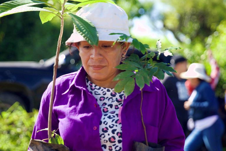 Eine Frau mit weißem Käppi trägt zwei Jungpflanzen