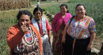 Vier gutgelaunte Frauen in traditionellen Kleidern stehen vor einem Feld